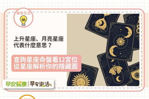 12星座比例圖|上升星座代表什麼意思？怎麼看？輸入出生日期，一秒查詢星座命。